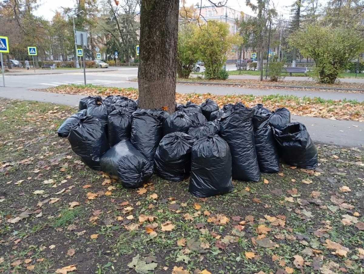 Новгородцы привели в порядок парки и скверы, а также неразграниченные земельные участки.