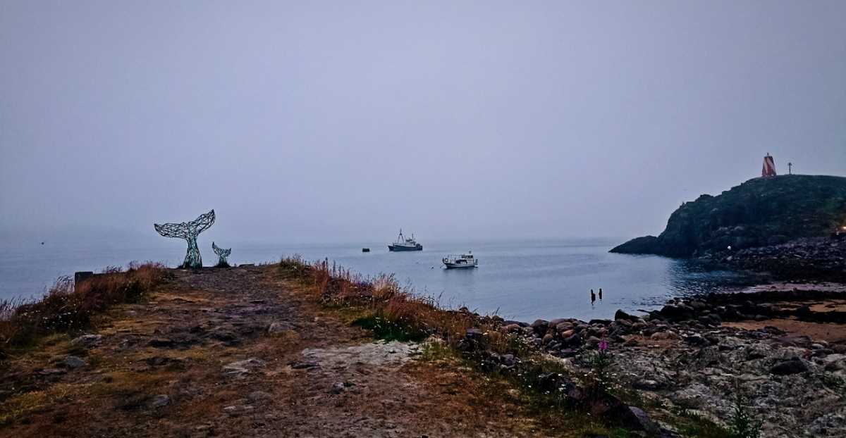 Обзор исследования выполнен при грантовой поддержке Минобрнауки России, в рамках Десятилетия науки и