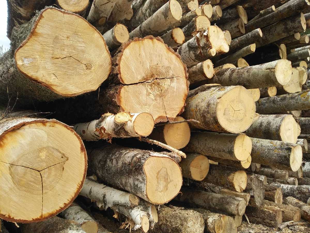 Сотрудники подведомственных учреждений минприроды области смогут получить «подъёмные».