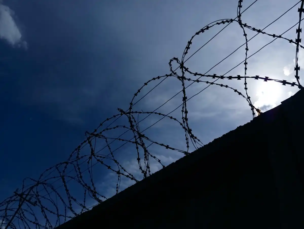 Приговор в законную силу не вступил.