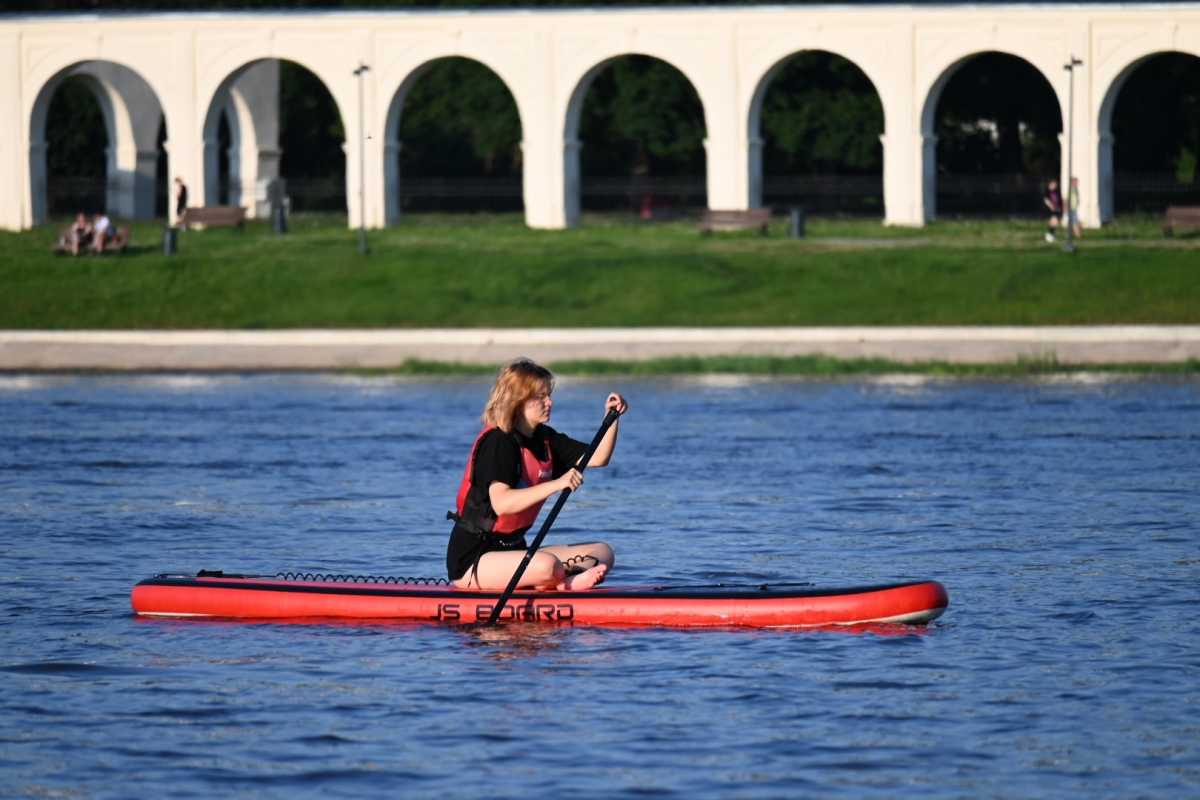 Благодаря наличию обширной водной сети и умеренно-континентального климата в Новгородской области мо