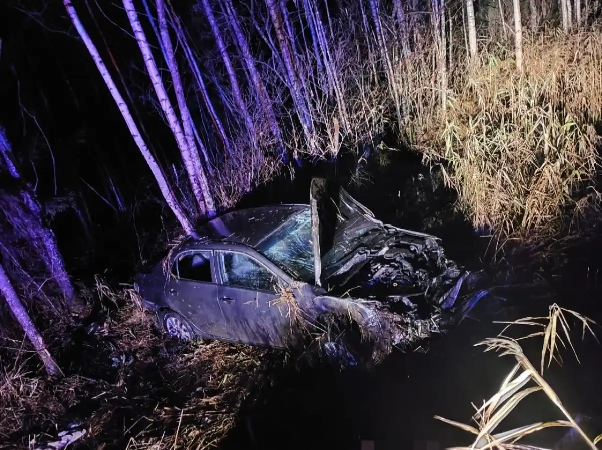 Водитель иномарки погиб.