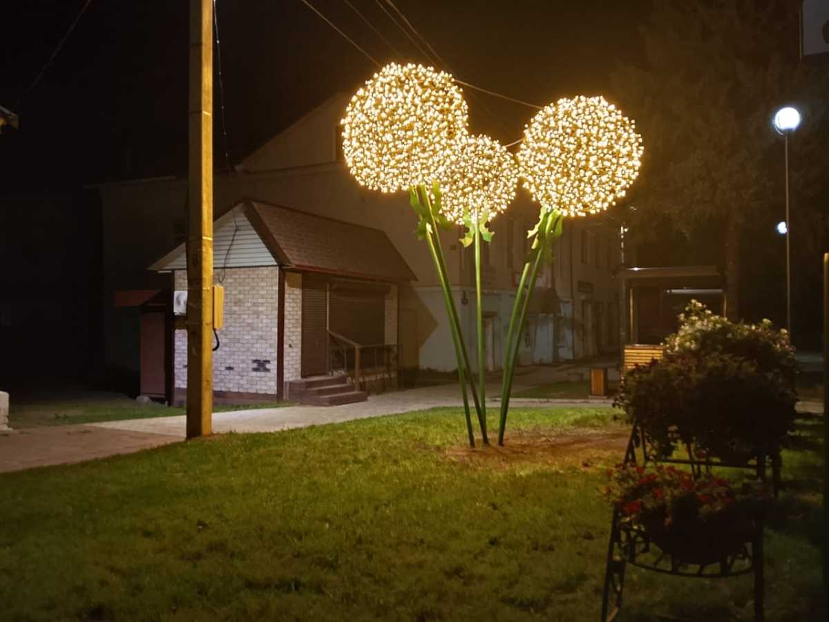 За благоустройство улицы Урицкого проголосовали жители Демянска.