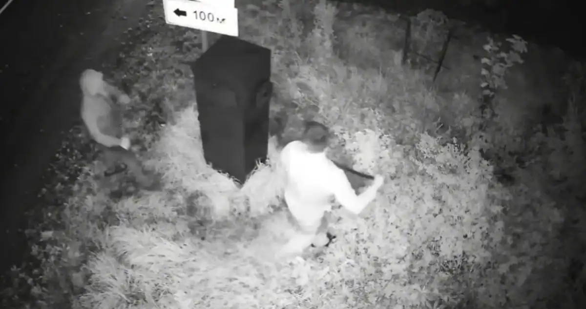 В отношении похитителей возбудили уголовное дело по статье «Кража».