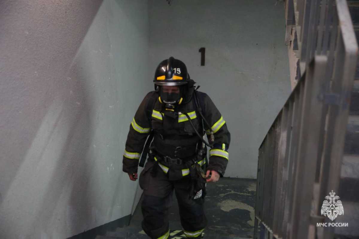 Причины пожаров установят органы дознания.