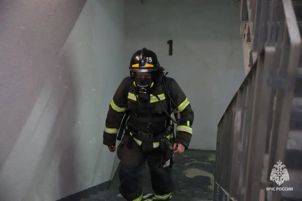 Причины пожаров установят органы дознания.