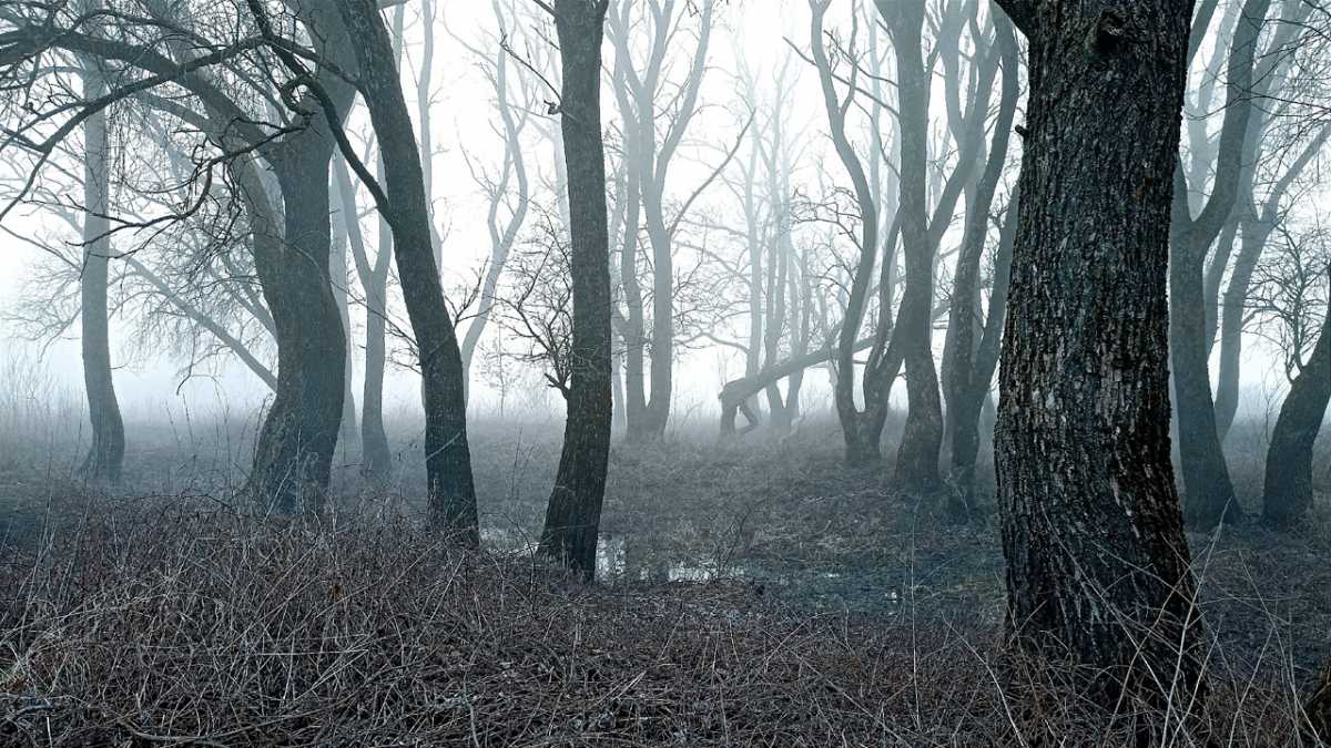 В Великом Новгороде завтра небольшой дождь, температура ночью +4...+6°С, днем +5...+7°С.