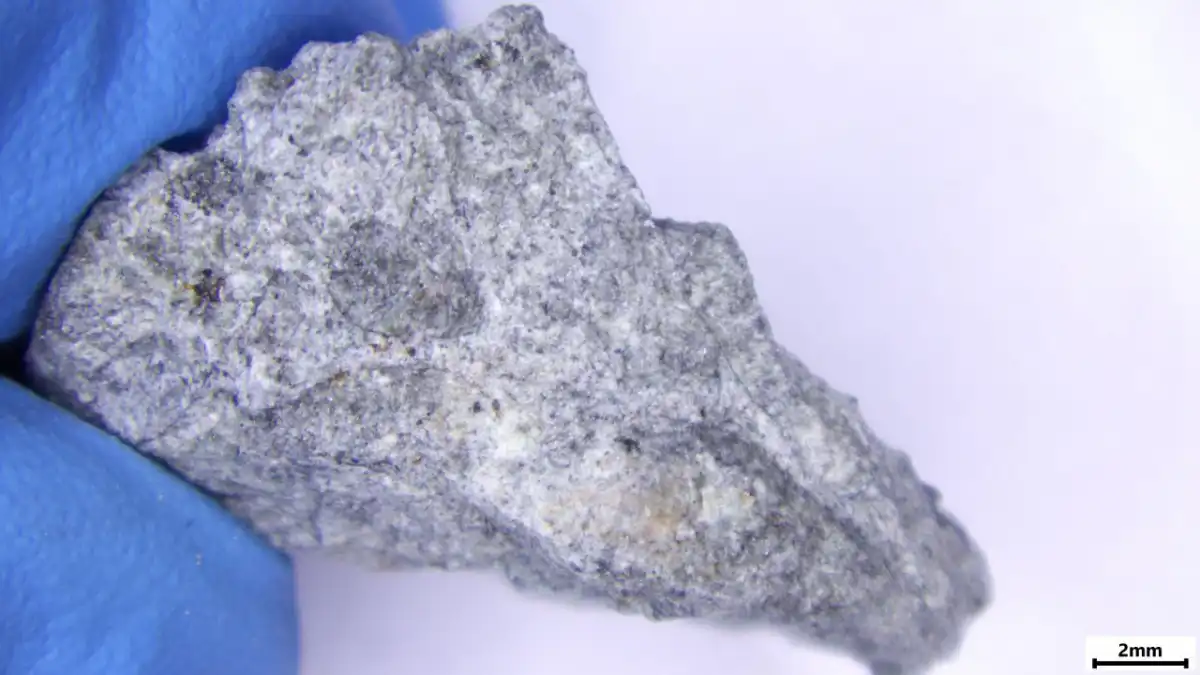 Метеорит, скорее всего, относится к обыкновенным хондритам.