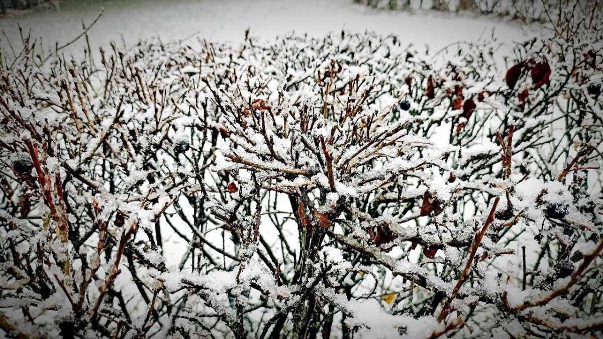 Жителей региона просят быть внимательными и осторожными при неблагоприятных погодных явлениях.