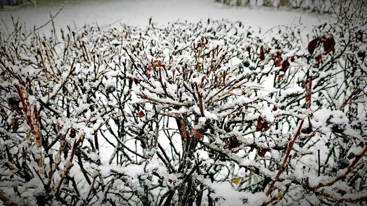 Жителей региона просят быть внимательными и осторожными при неблагоприятных погодных явлениях.