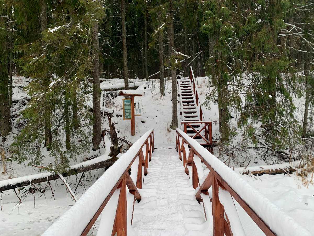 «Большую Валдайскую тропу» закрыли для посещения до следующего туристического сезона.