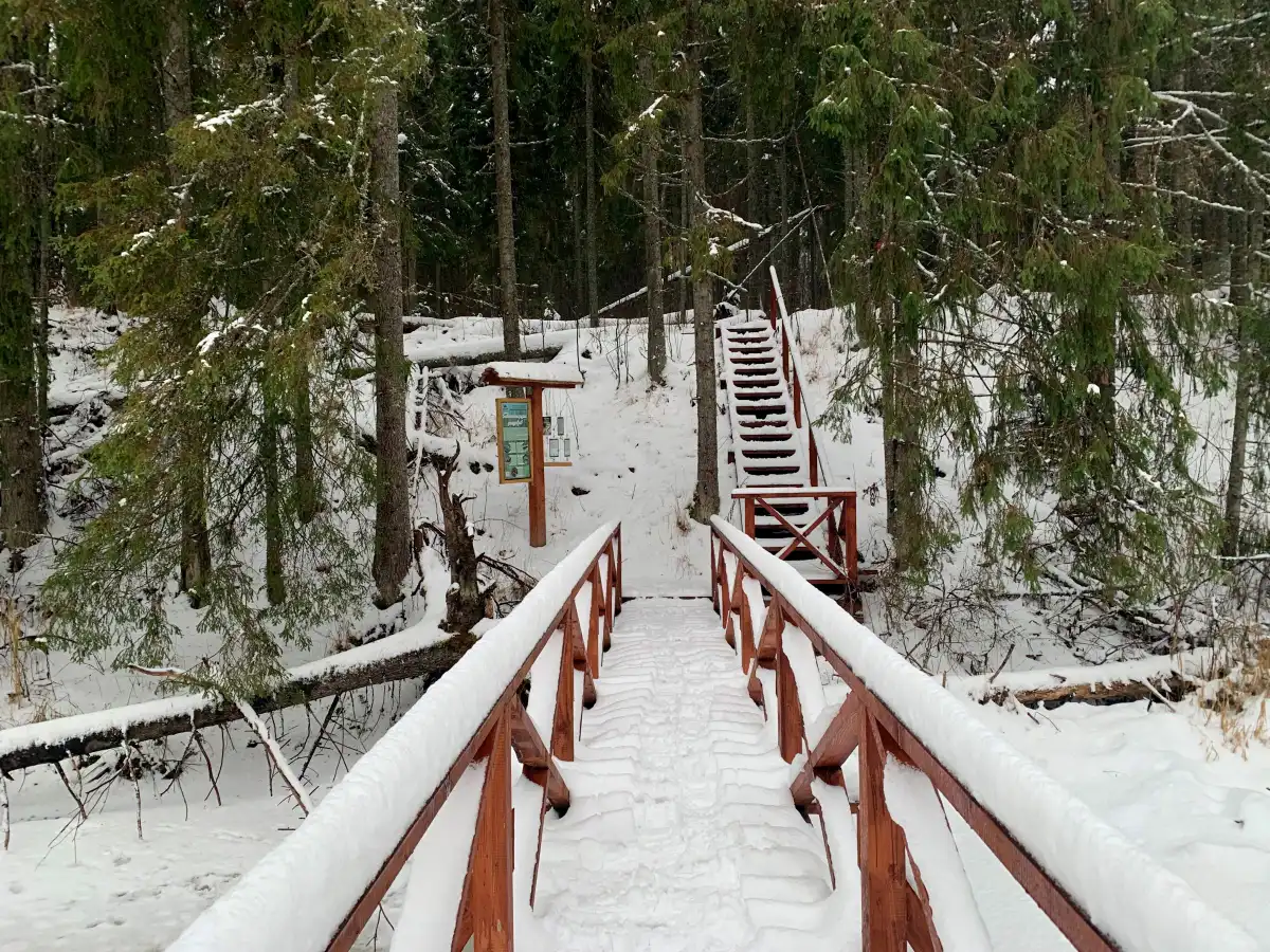 «Большую Валдайскую тропу» закрыли для посещения до следующего туристического сезона.