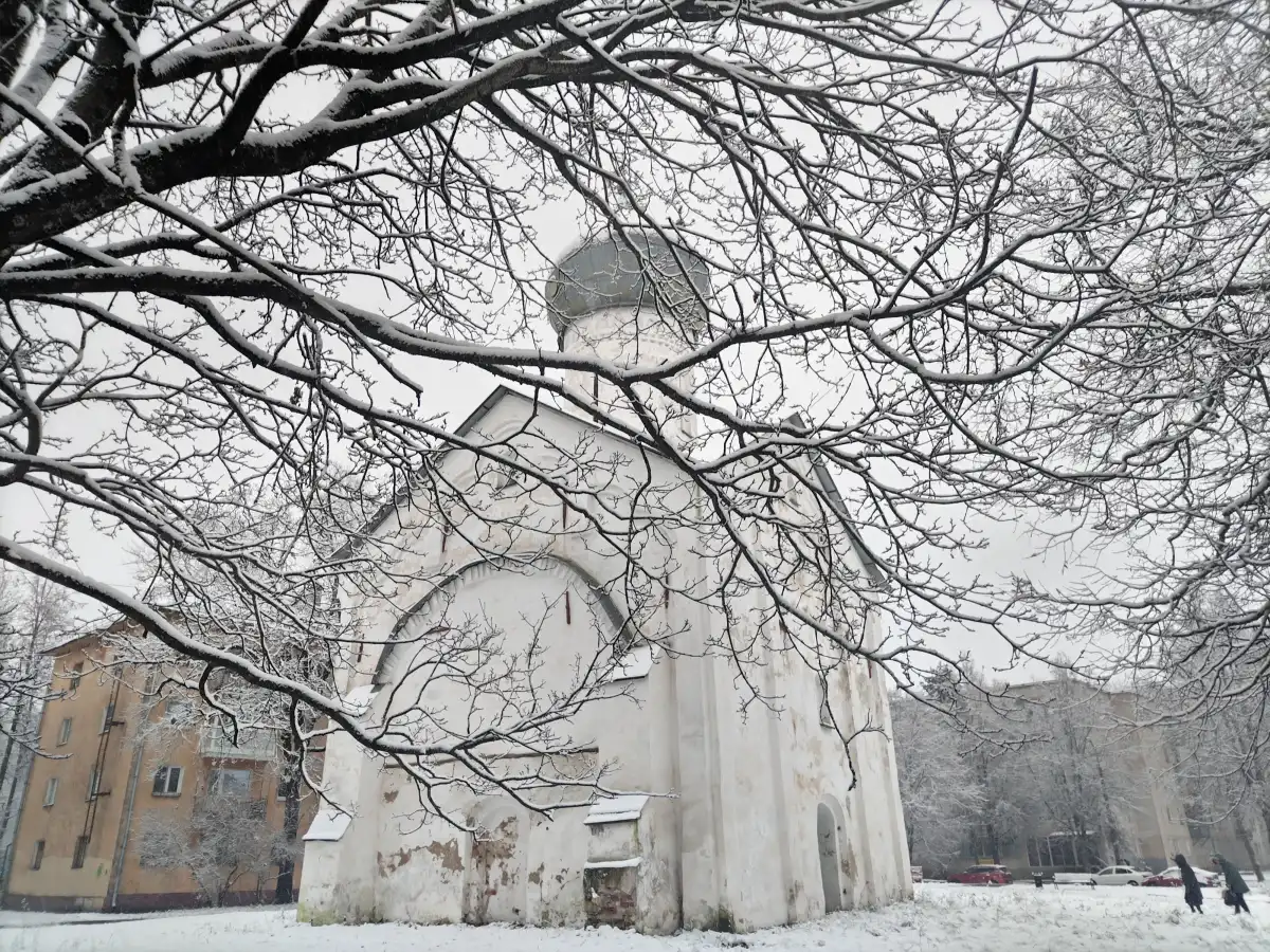 20 ноября синоптики обещают новгородцам мокрый снег.