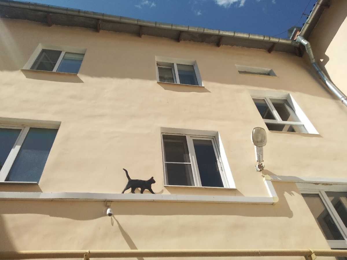 Выплата доступна семьям, у которых с 1 января 2025 года по 31 декабря 2026 года родился третий или п