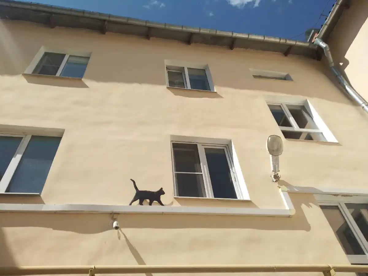 Выплата доступна семьям, у которых с 1 января 2025 года по 31 декабря 2026 года родился третий или п