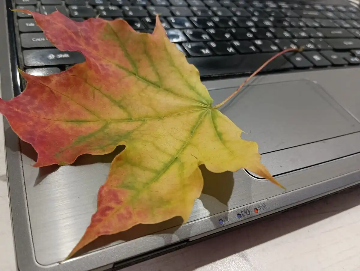 В октябре по сравнению с сентябрем подешевели планшеты, ноутбуки, мониторы, смартфоны и наушники.