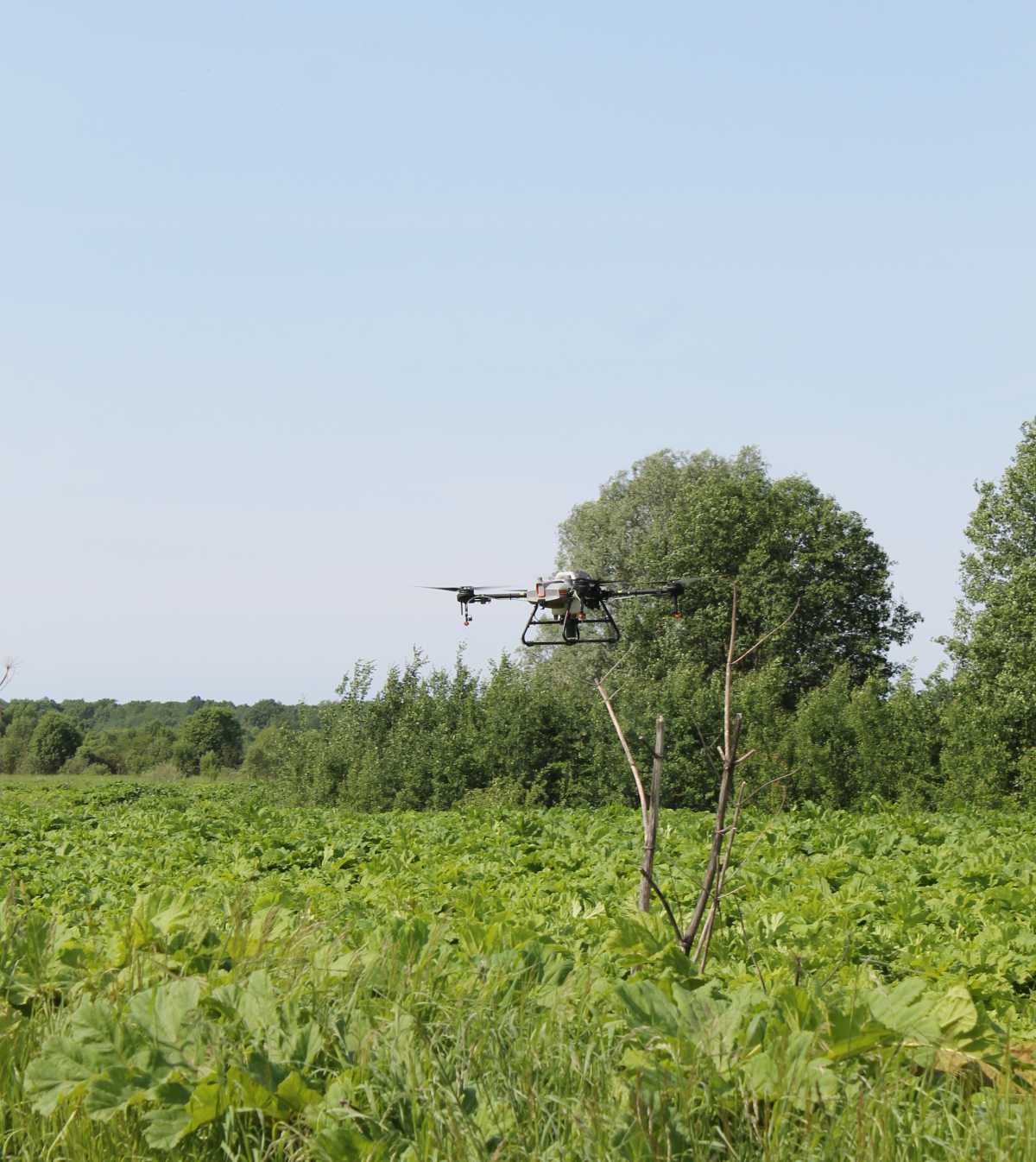 Благодаря принимаемым мерам, финансированию и обрабатываемым площадям, удается сдерживать распростра