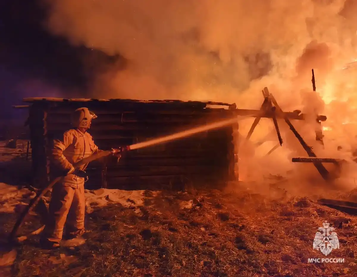 В деревне Починная Сопка Боровичского округа произошло возгорание садового дома.