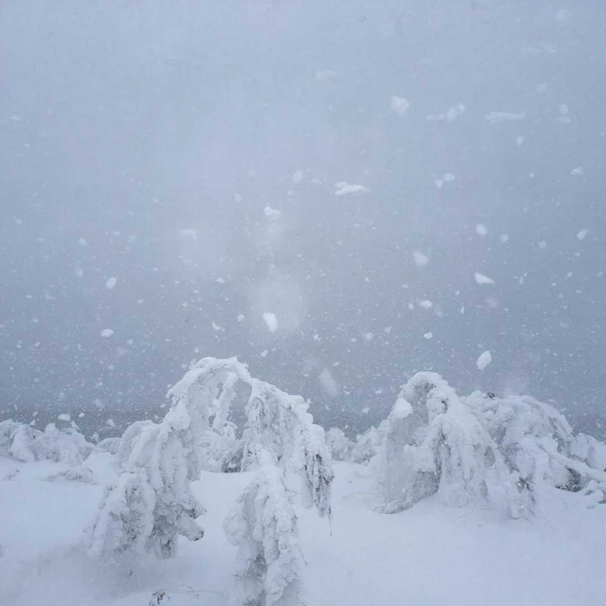 Ожидается налипание мокрого снега.