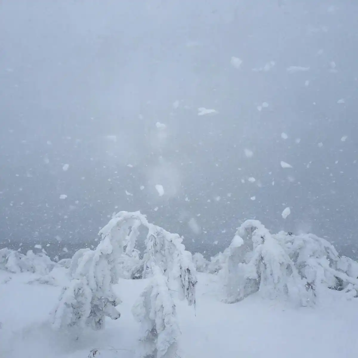 Ожидается налипание мокрого снега.