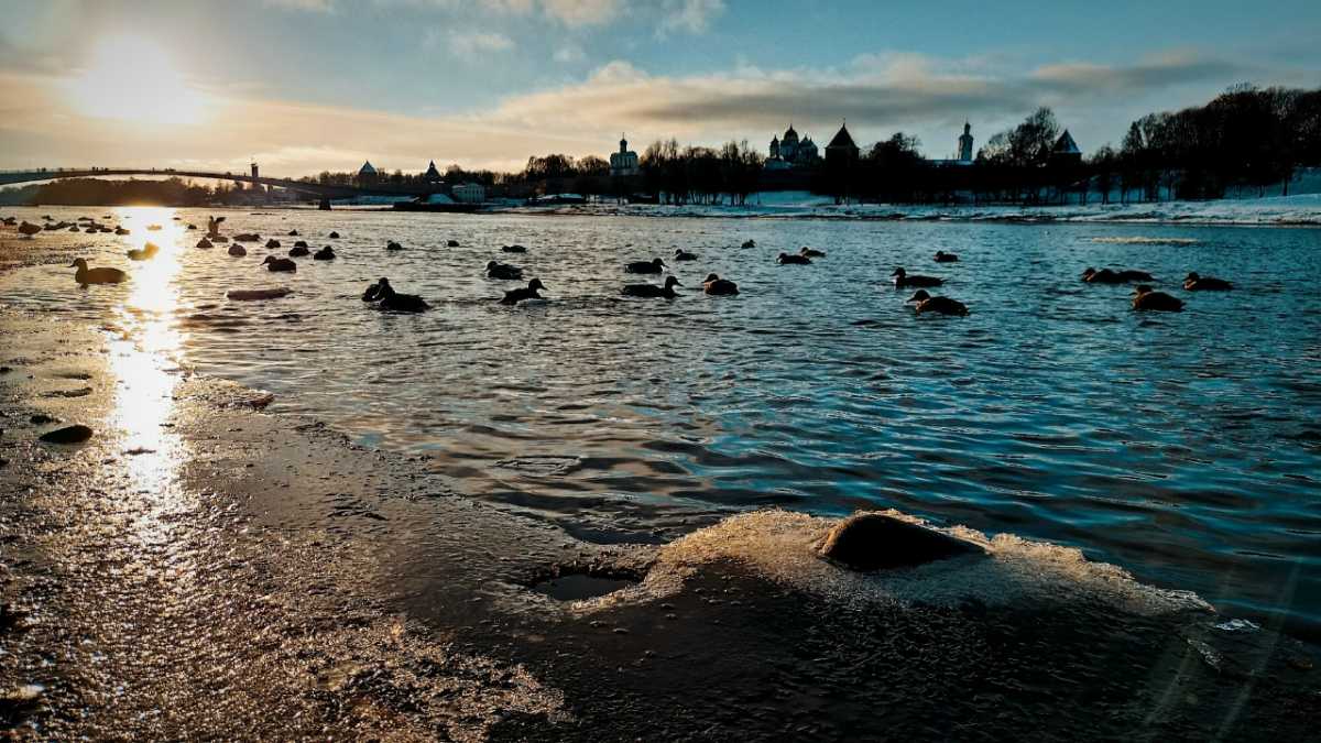 Жителей региона просят быть внимательными и осторожными.