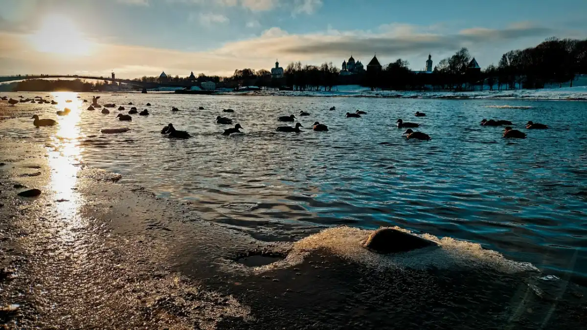 Жителей региона просят быть внимательными и осторожными.