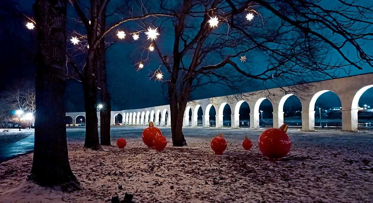 В Новгородской области будут работать более 60 лыжных трасс и 40 катков.