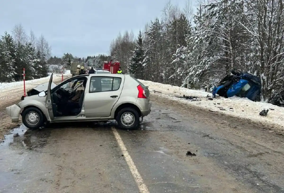 Причины и обстоятельства ДТП устанавливают.