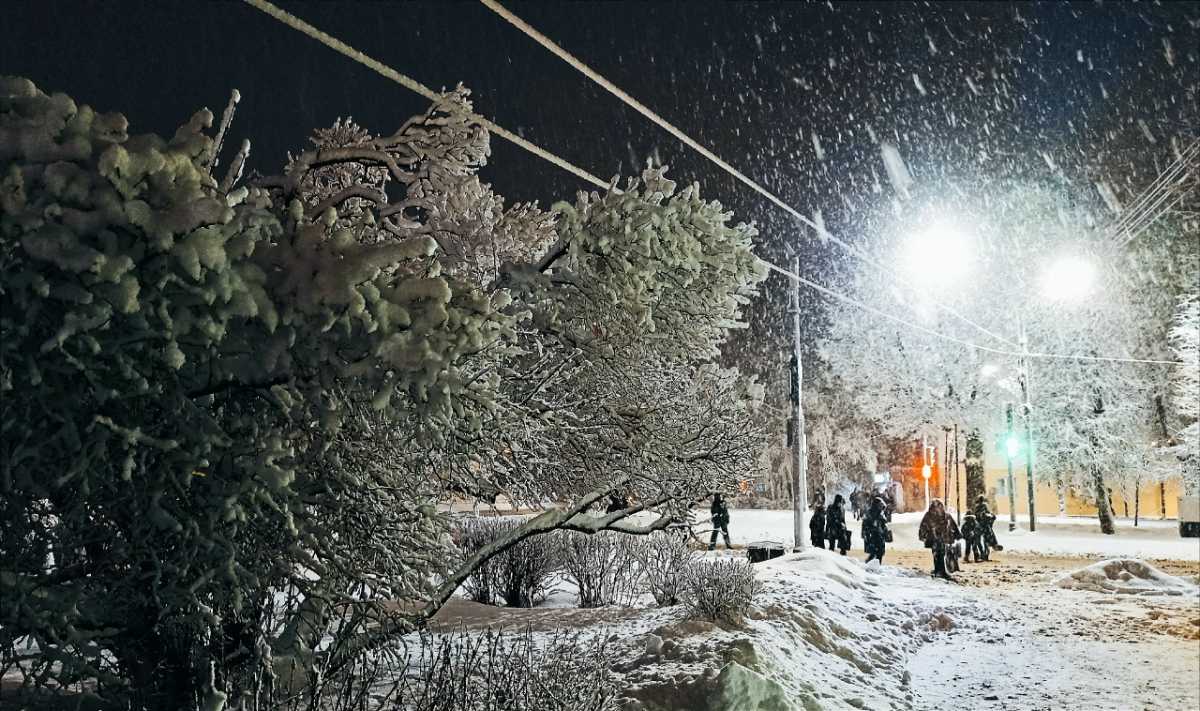 Зимой подрядчики очищают проезжую часть на дорогах и мостах, обочины, барьерные ограждения, пешеходные зоны, русла водопропускных труб.