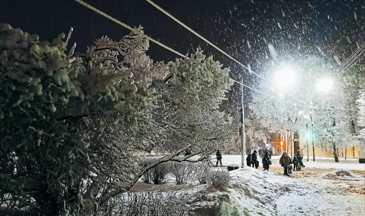 Зимой подрядчики очищают проезжую часть на дорогах и мостах, обочины, барьерные ограждения, пешеходные зоны, русла водопропускных труб.