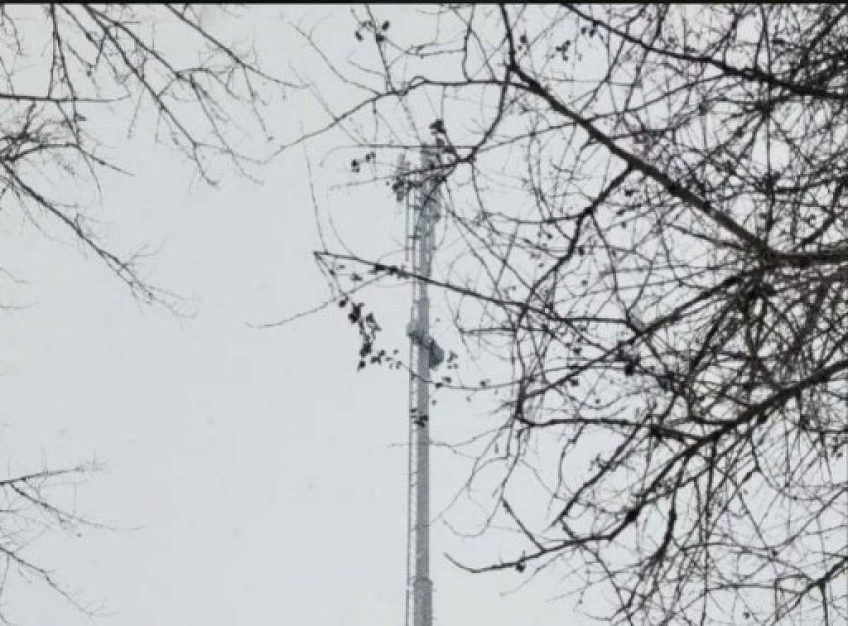 В работе испытательной комиссии принял активное участие Алексей Козлов, который проходит стажировку в министерстве в рамках приоритетного регионального проекта «СВОи Герои 53», и представители органов местного самоуправления.