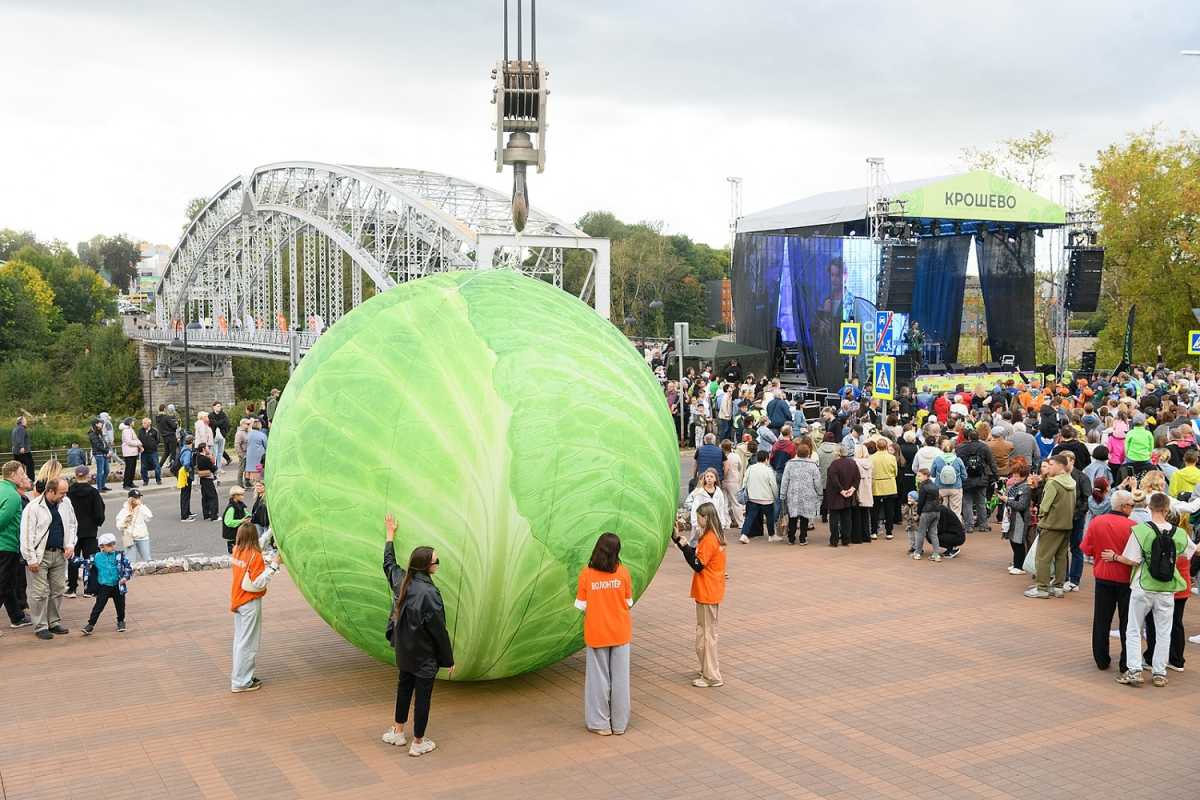 На фестиваль «Крошево» в Боровичи в 2025 году приехали почти 15 тысяч гостей.