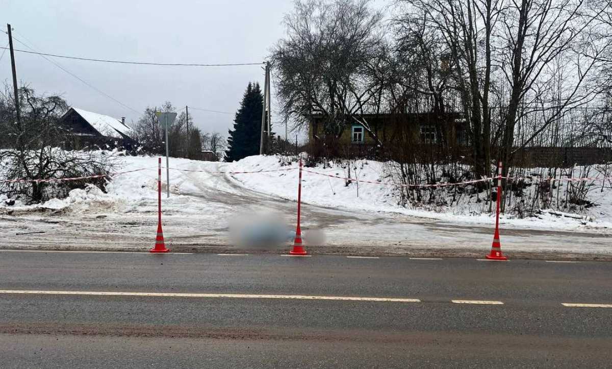 Причины и обстоятельства автоаварии устанавливаются.