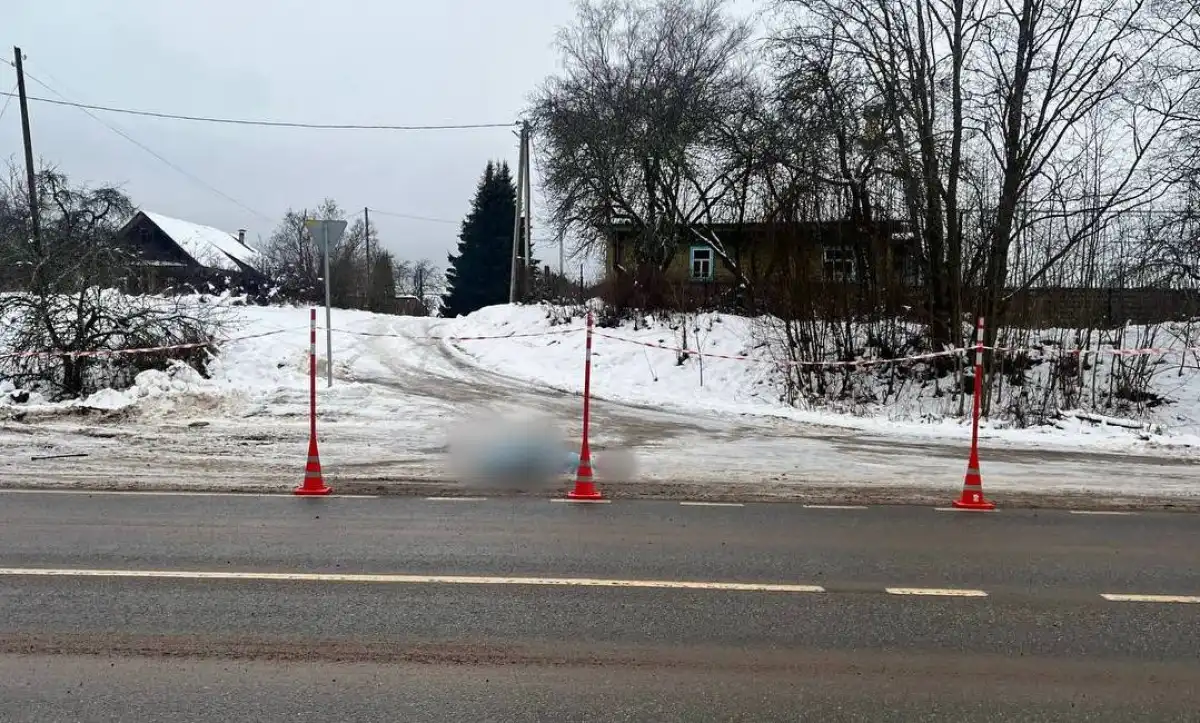 Причины и обстоятельства автоаварии устанавливаются.