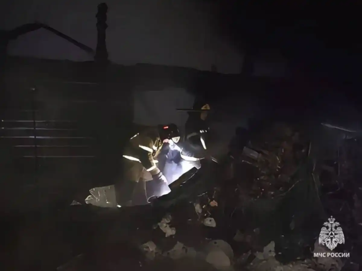 Причины пожаров устанавливают органы дознания.