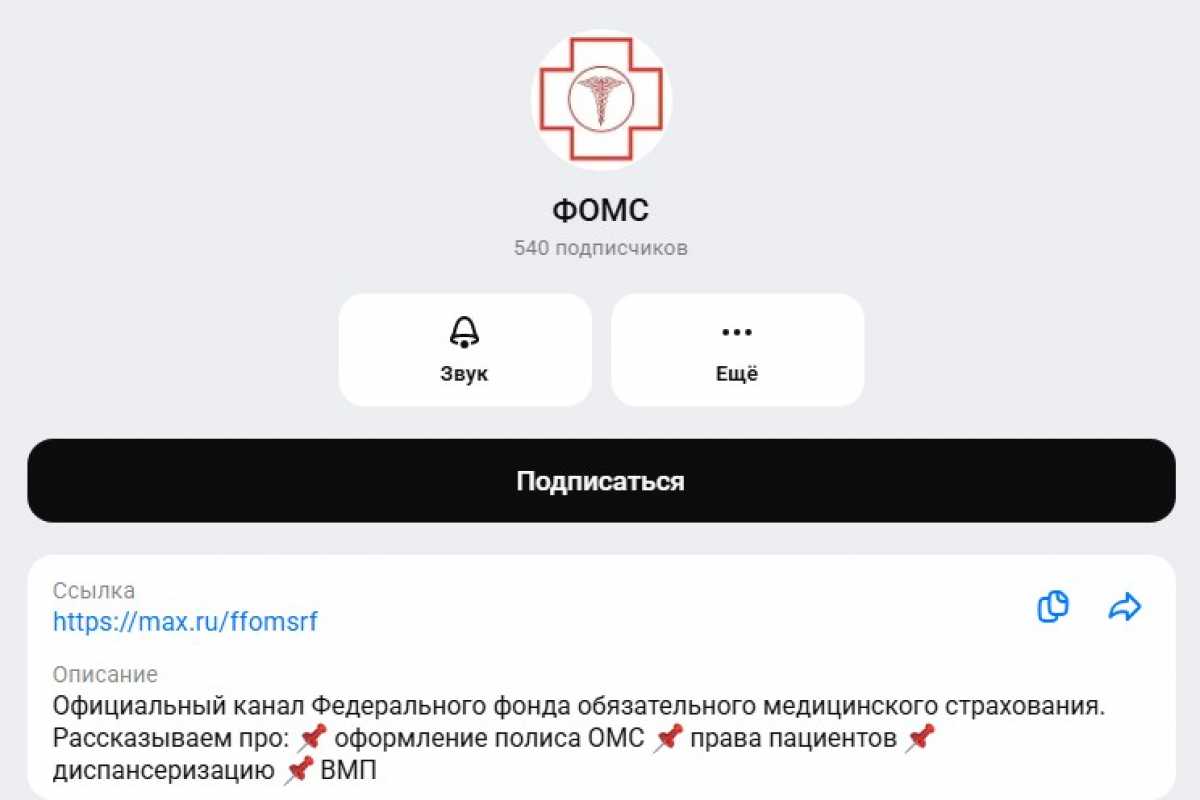 Пользователи Max смогут получать из первоисточника актуальные сведения о работе системы ОМС.