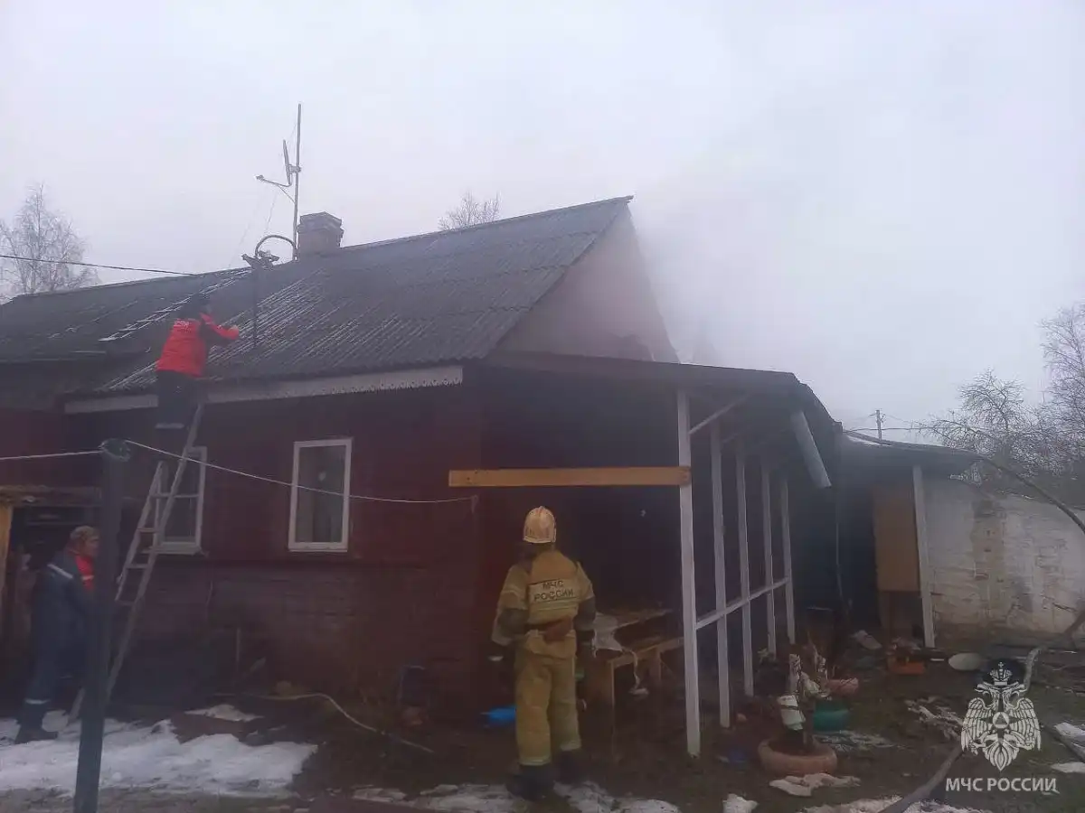 Причины пожаров устанавливают органы дознания.