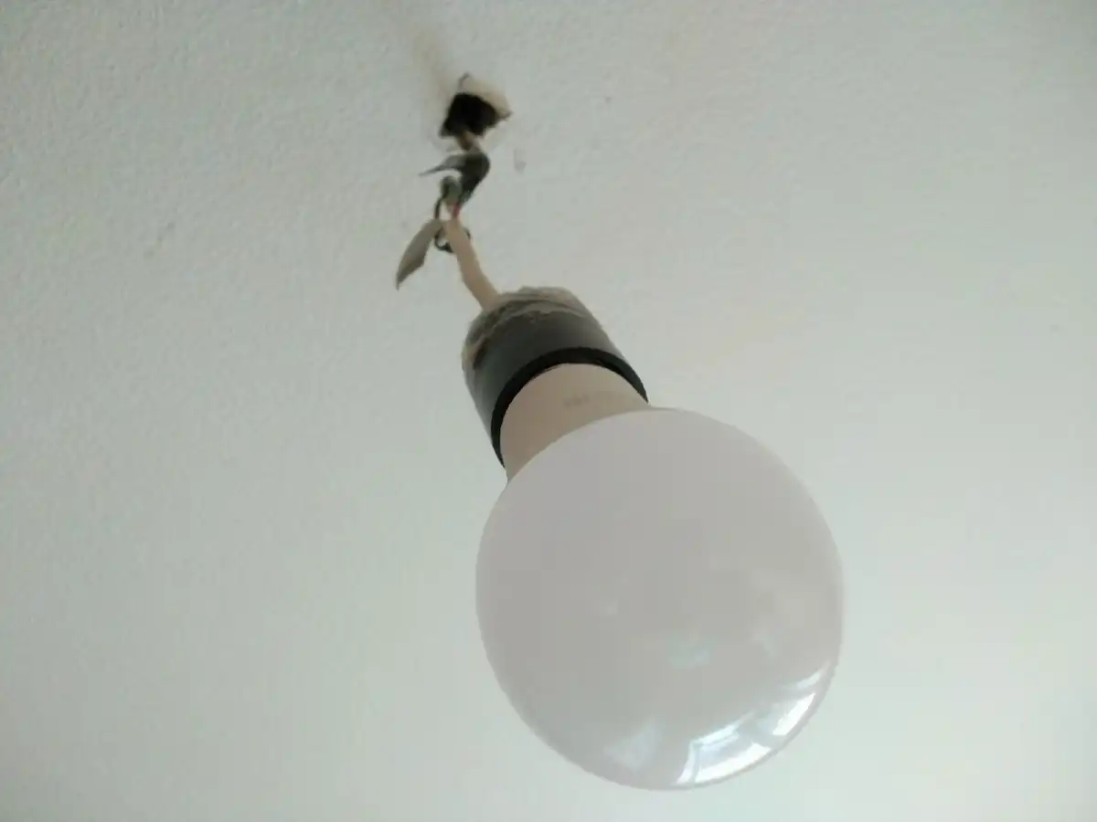 В 2026 году реконструкция продолжится на пяти линиях — в Мошенском, Пестовском и Крестецком округах.