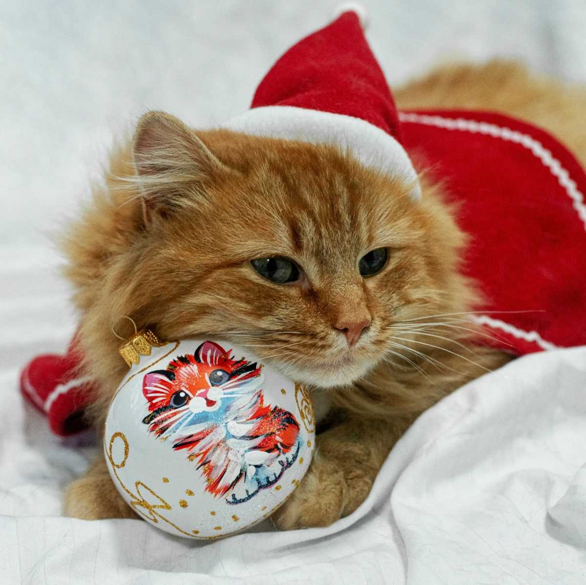 Все средства от мастер-классов направляются на содержание и лечение котов реабилитационного центра «Кошкин Дом».