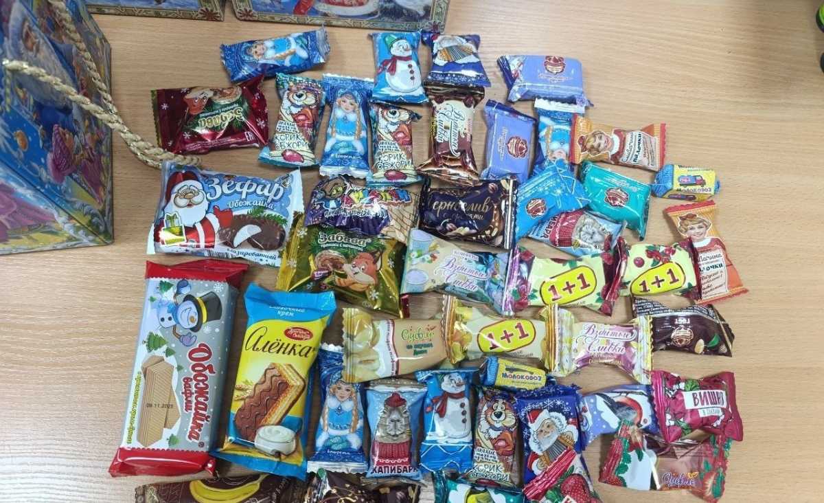 Дети Энергодара и Каменского-Днепровского округа получат новогодние подарки от новгородцев.