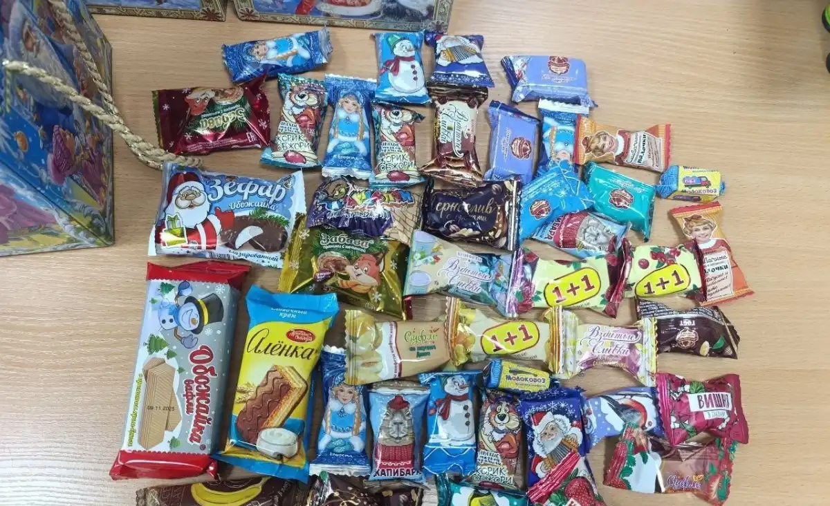 Дети Энергодара и Каменского-Днепровского округа получат новогодние подарки от новгородцев.