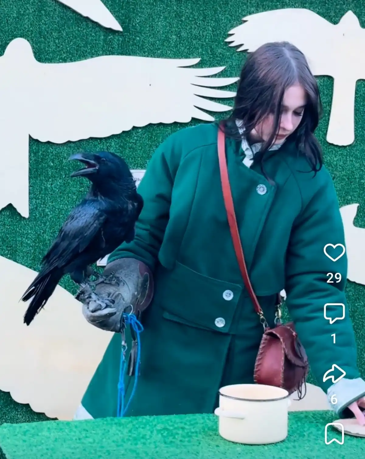 Топа — настоящий интеллектуал. Он легко находит общий язык с людьми, умеет привлекать внимание посетителей и прекрасно знает, как добиться угощения.