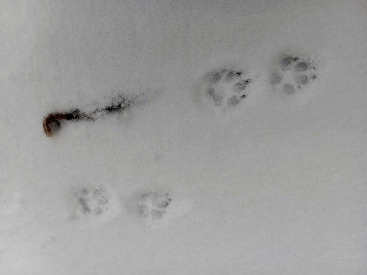 Жителей региона просят быть внимательнее и осторожнее.