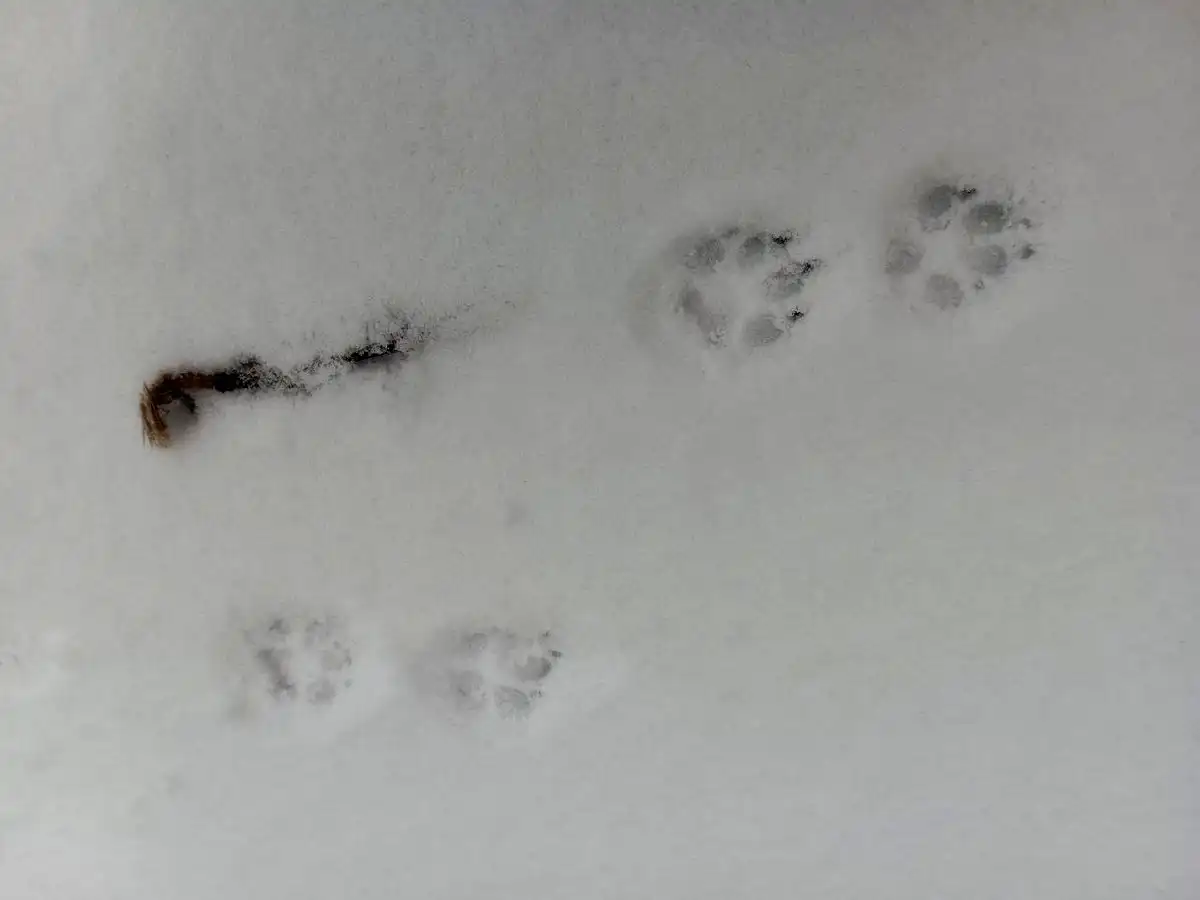 Жителей региона просят быть внимательнее и осторожнее.