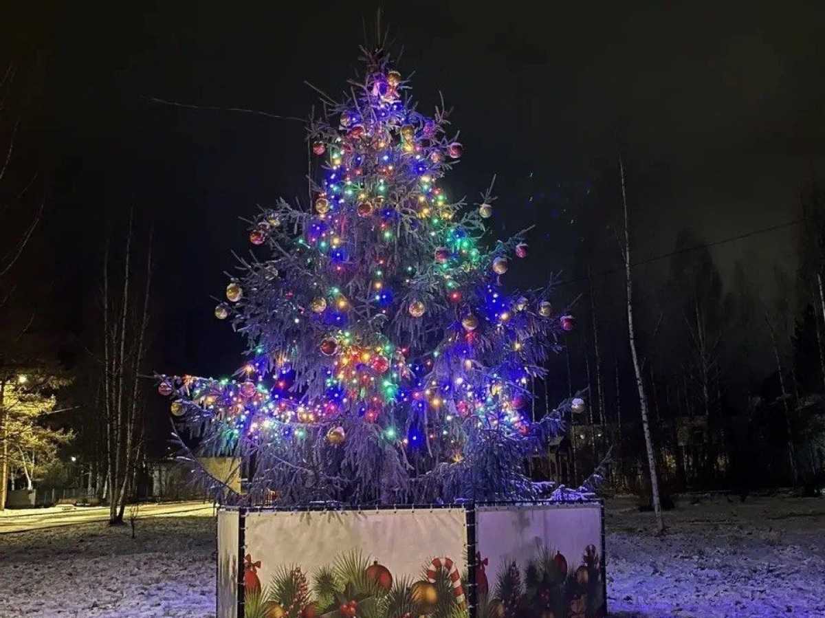 Новогодние ёлки установили в различных микрорайонах Боровичей.