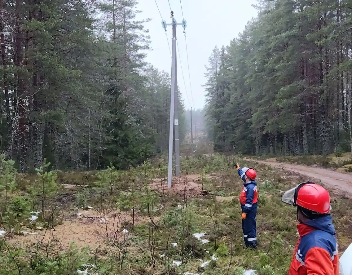 Энергетики установили 120 новых усиленных железобетонных опор для ЛЭП.
