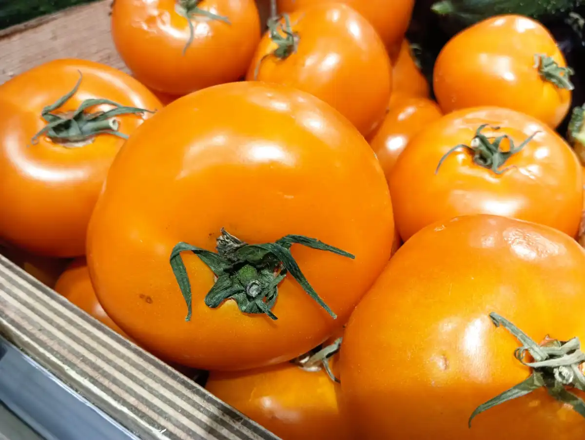 Сильнее всего в регионе в ноябре подорожали продукты питания, в том числе томаты, огурцы и сладкий перец.