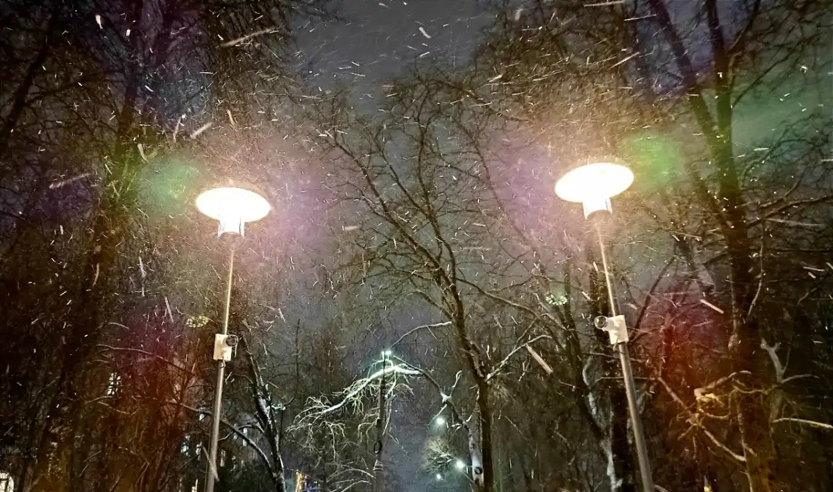 Сообщить о нарушениях электроснабжения и замеченных повреждениях энергообъектов можно по единому круглосуточному бесплатному телефону 8-800-220-0-220.