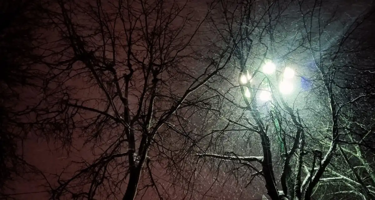 В пяти округах Новгородской области отключены семь линий электропередачи.