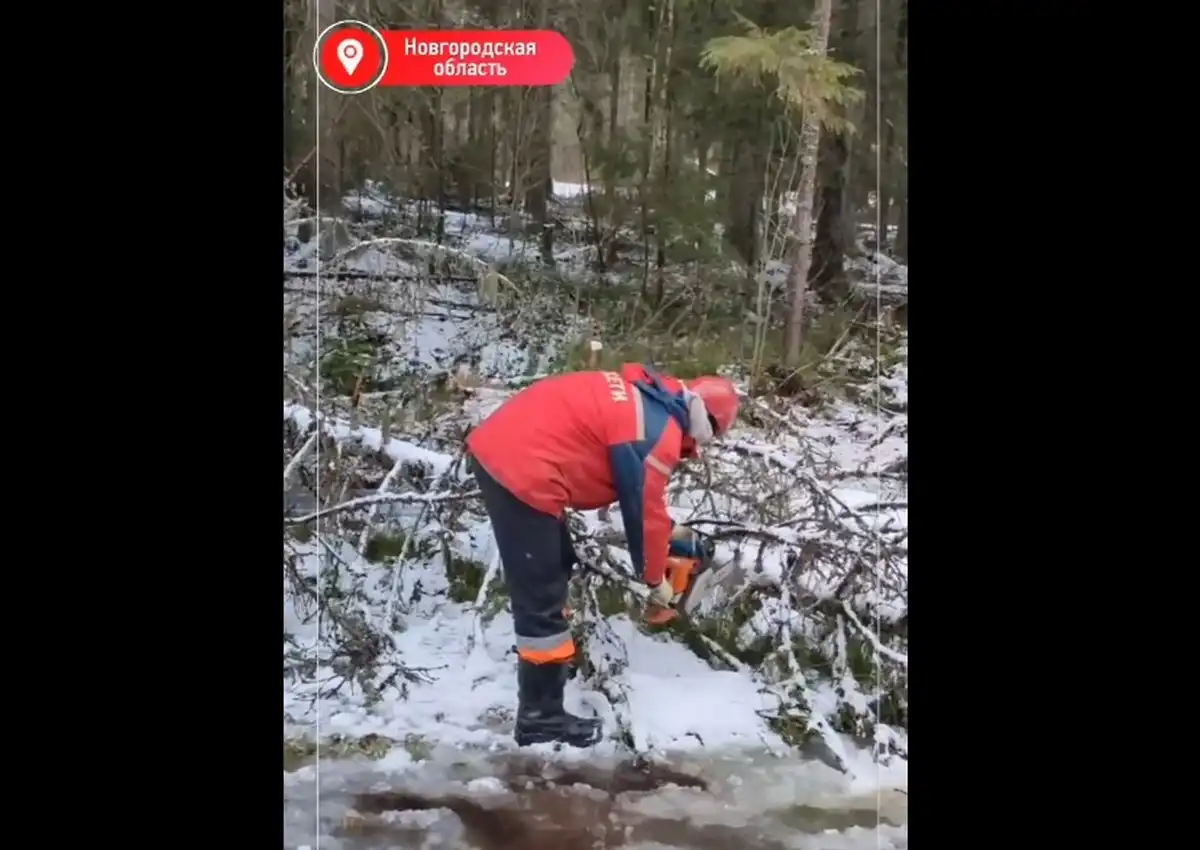 В Новгородском филиале компании «Россети Северо-Запад» сохраняется режим повышенной готовности.